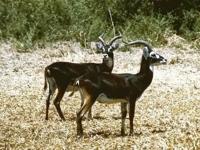 ADVENTURAL & COFFEE TOURS