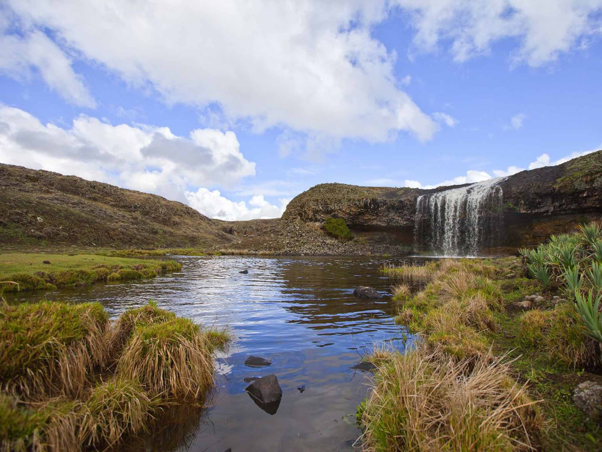 07 DAYS TOUR - JOURNEY TO BALE MOUNTAIN NP WITH RIFT VALLEY LAKES OF ETHIOPIA