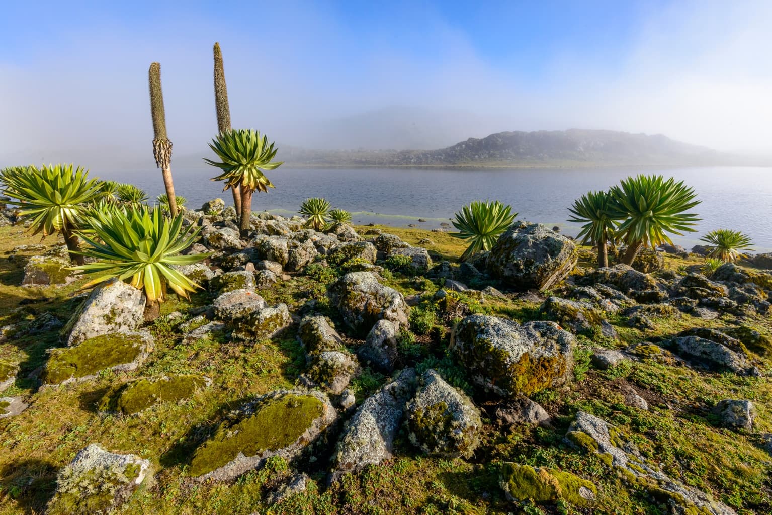 Sanati Plateau