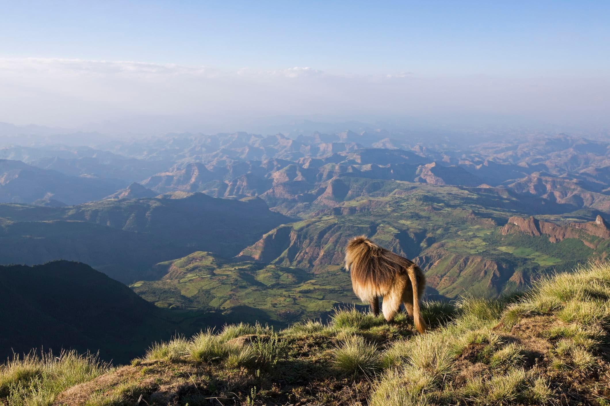 09 DAYS TOUR - TO THE NORTHERN HISTORIC ROUTE OF ETHIOPIA WITH AXUM