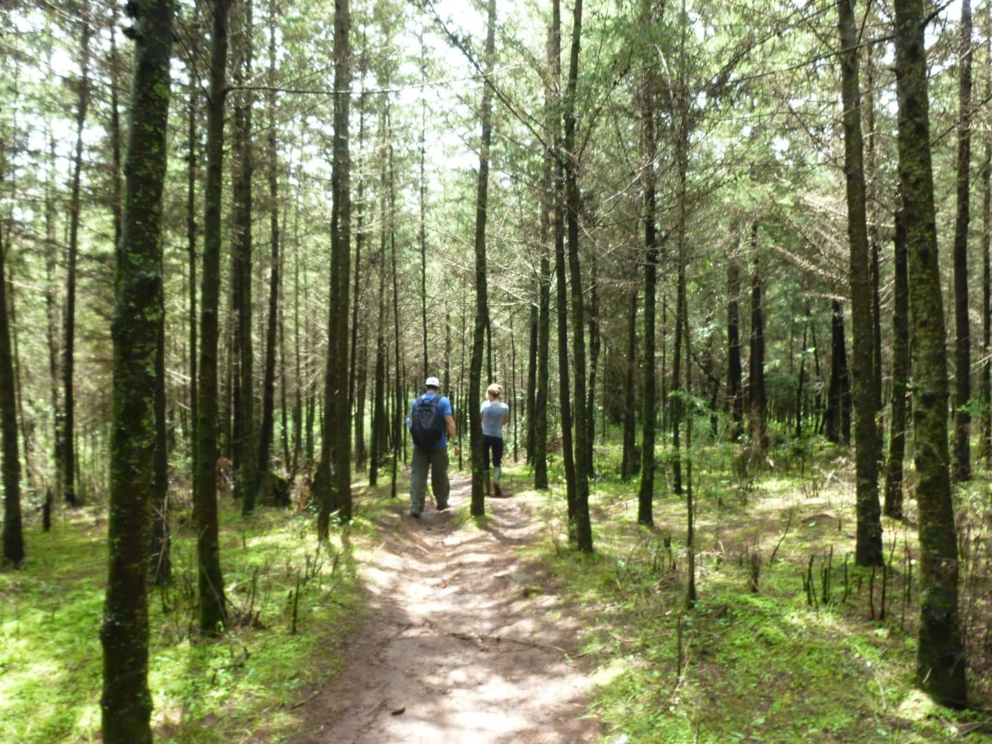 01 day trip - Wenchi Crater Lake