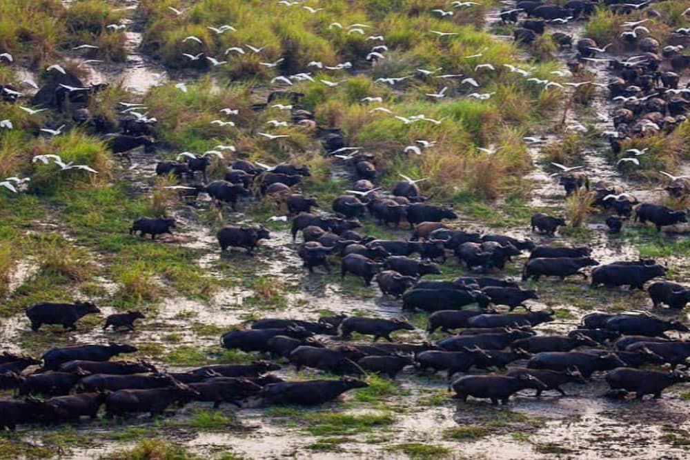 Gambella National Park