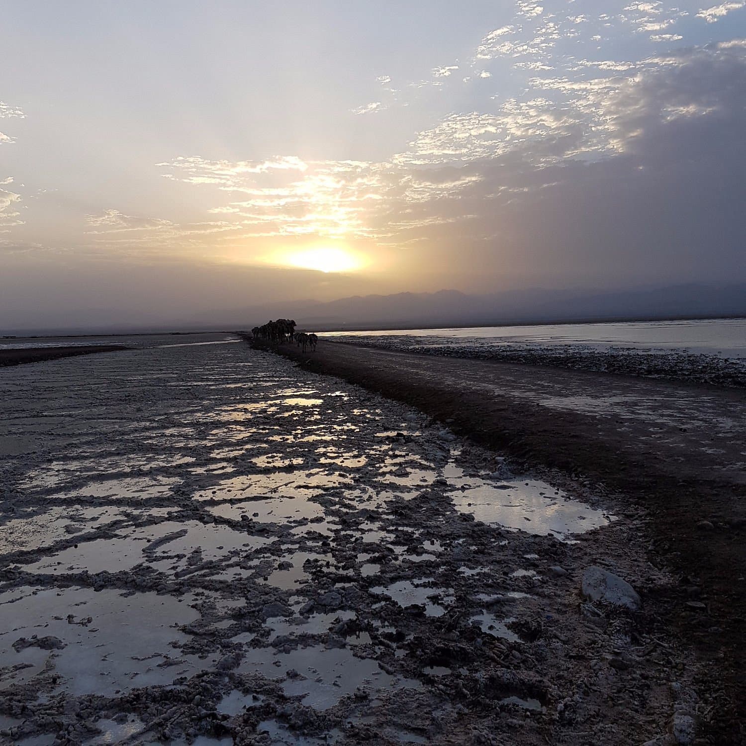 Travel With Confidence