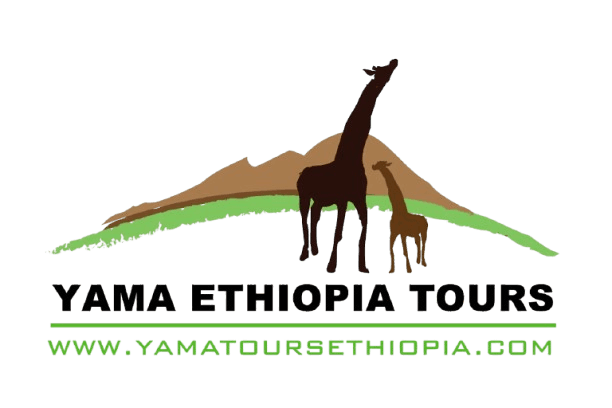 Yama Ethiopia Tours