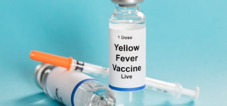 yellow fever vaccination