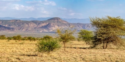 meskel festival damera