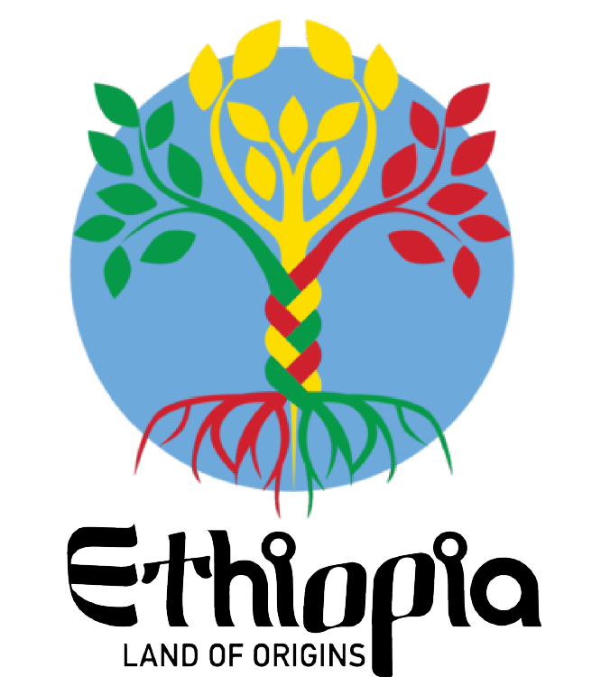 Ethiopia Land of Origins
